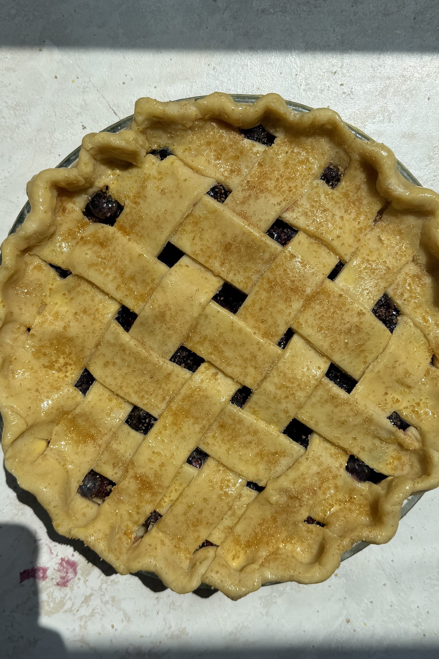 finished & fully assembled unbaked blueberry pie ready for the oven with egg wash and sugar.