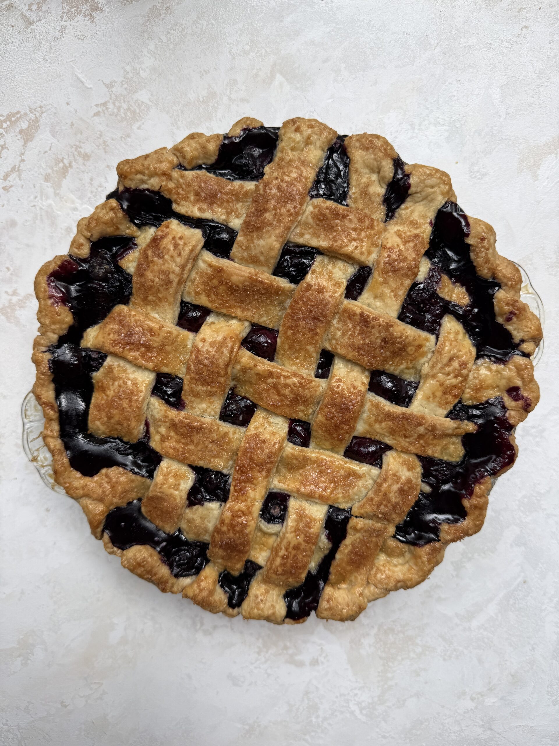 baked classic blueberry pie