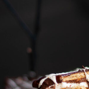 Chocolate Dipped Peanut Butter S'mores