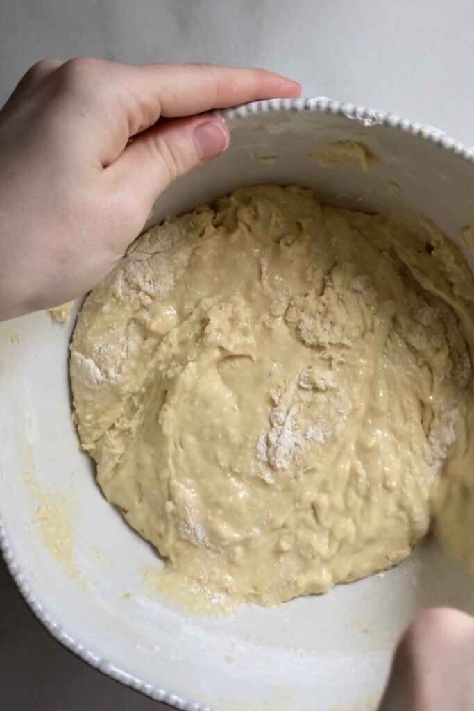 finished bater without chocolate chips