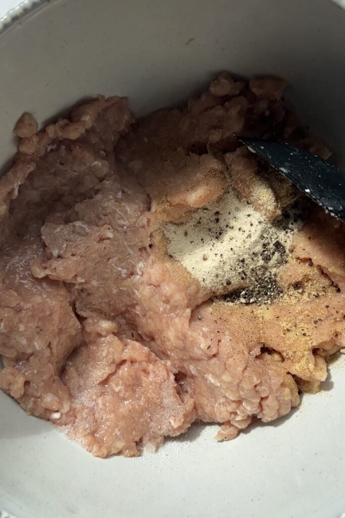 ground chicken with seasonings