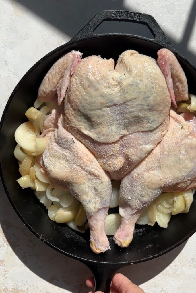 spatchcock chicken and onions before roasting